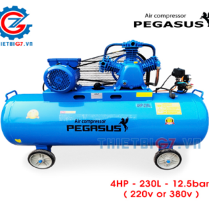 MÁY NÉN KHÍ 2 CẤP PEGASUS TM-W 0.36/12.5-230L - 4HP, 12.5BAR (TÙY